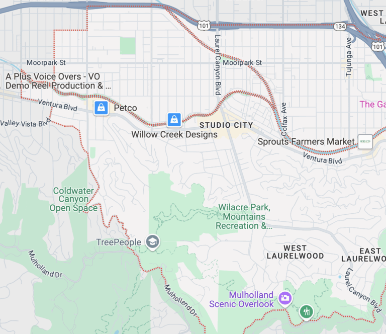 Studio City Carpet Cleaning